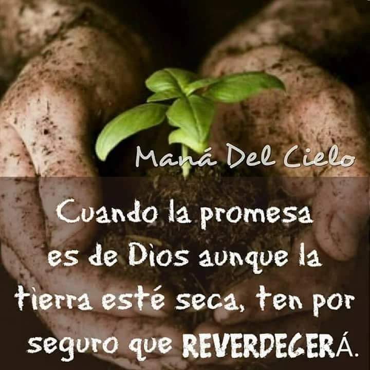 Amén ❤️