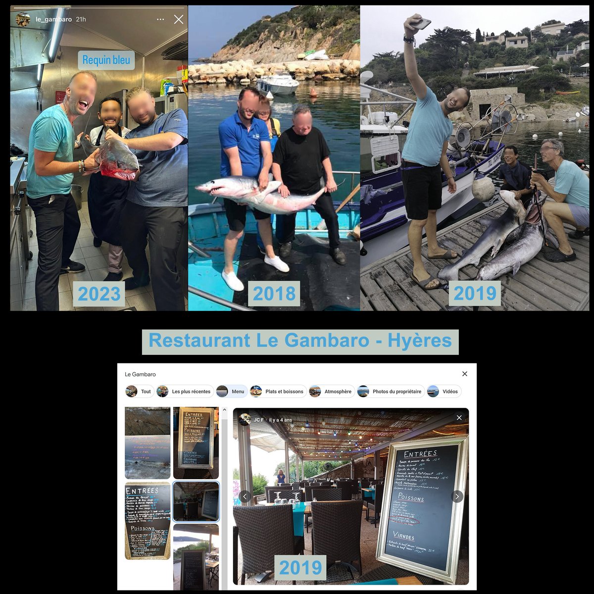 En 2019, le Gambaro affichait déjà du requin Mako au menu. L’espèce n’était pas encore strictement protégée à l’époque mais déjà en danger d’extinction. Après des années de bataille et de négociations, la loi de protection est passée mais le restaurateur n’a pas changé ses