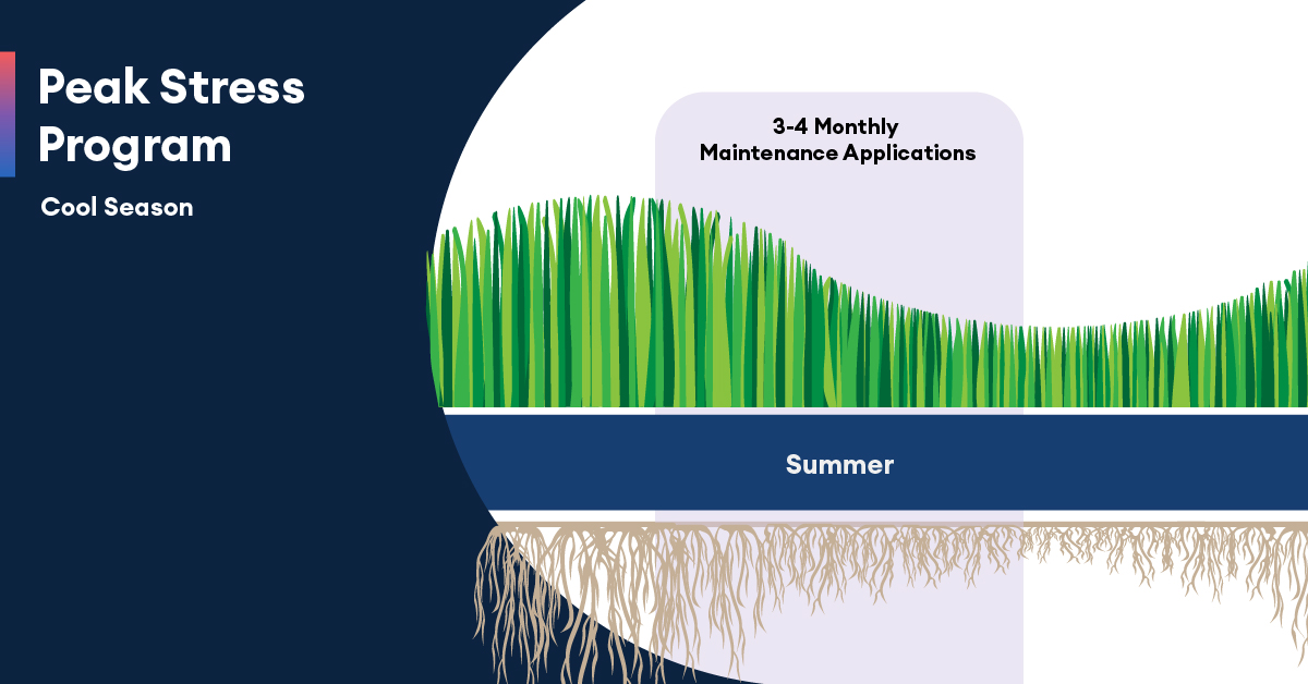 EnvuGolfUS's tweet image. This #SoilborneSunday, fight cool-season diseases like #Pythiumrootrot, #summerpatch and #fairyring with the Peak Season Program for applying #Resilia™ root health solution, which protects your roots and suppresses #nematodes. More info: bit.ly/3JTm1xY