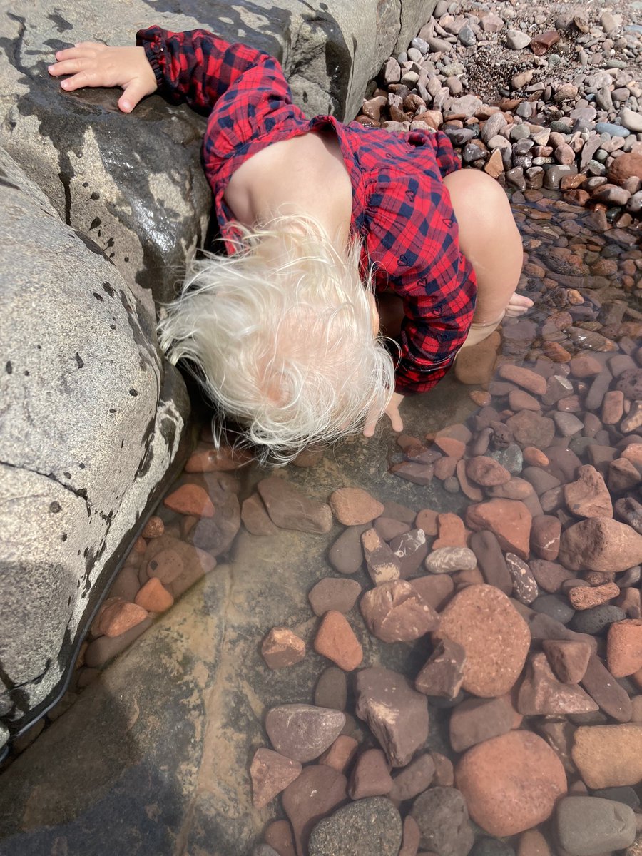 NathanCoulter's tweet photo. 2YO has baptized herself in the waters of @LakeSuperior while wearing the ceremonial buffalo plaid gown. As Minnesota tradition dictates, this will be followed by a meal of hotdish, pickled herring, and @GrainBeltBeer Premium. #mnleg #MinnesotaLife https://t.co/x8VIa7DmLT