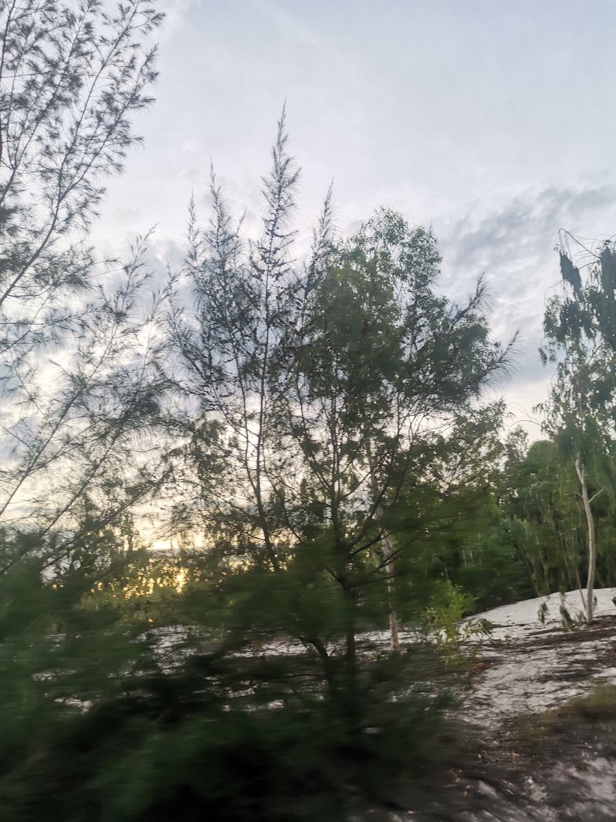 Khi say mot chen cung say,Khi nen tinh nghia mot ngay cung nen.