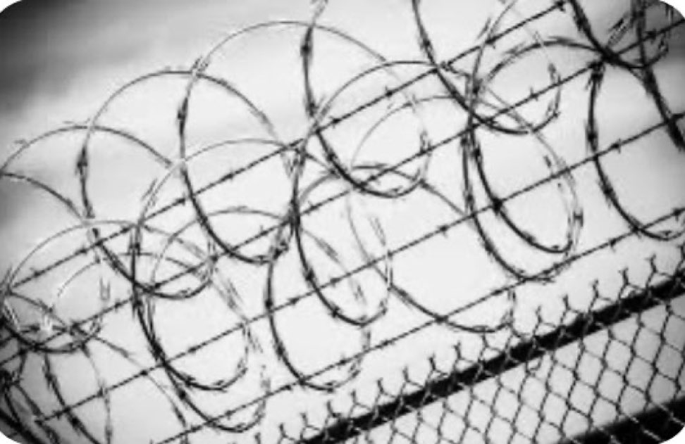 Bugün toplumda yargının verdiği adil olmayan kararlardan bahsederek; adalet aranıyorsa sicili bozuk diye milyonlarca insan iş bulamıyorsa #GenelAf ve Adli Sicil Af'fının şartları oluşmuştur
<a href="/TBMMGenelKurulu/">TBMM Genel Kurulu</a>’na AF teklifi gelmelidir

YargıEnkazı AdliMahkumlar
<a href="/yilmaztunc/">Yılmaz TUNÇ</a>