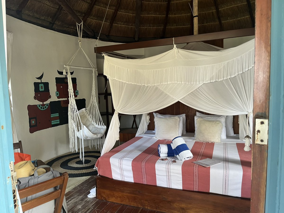 Sam Johnson tweet media