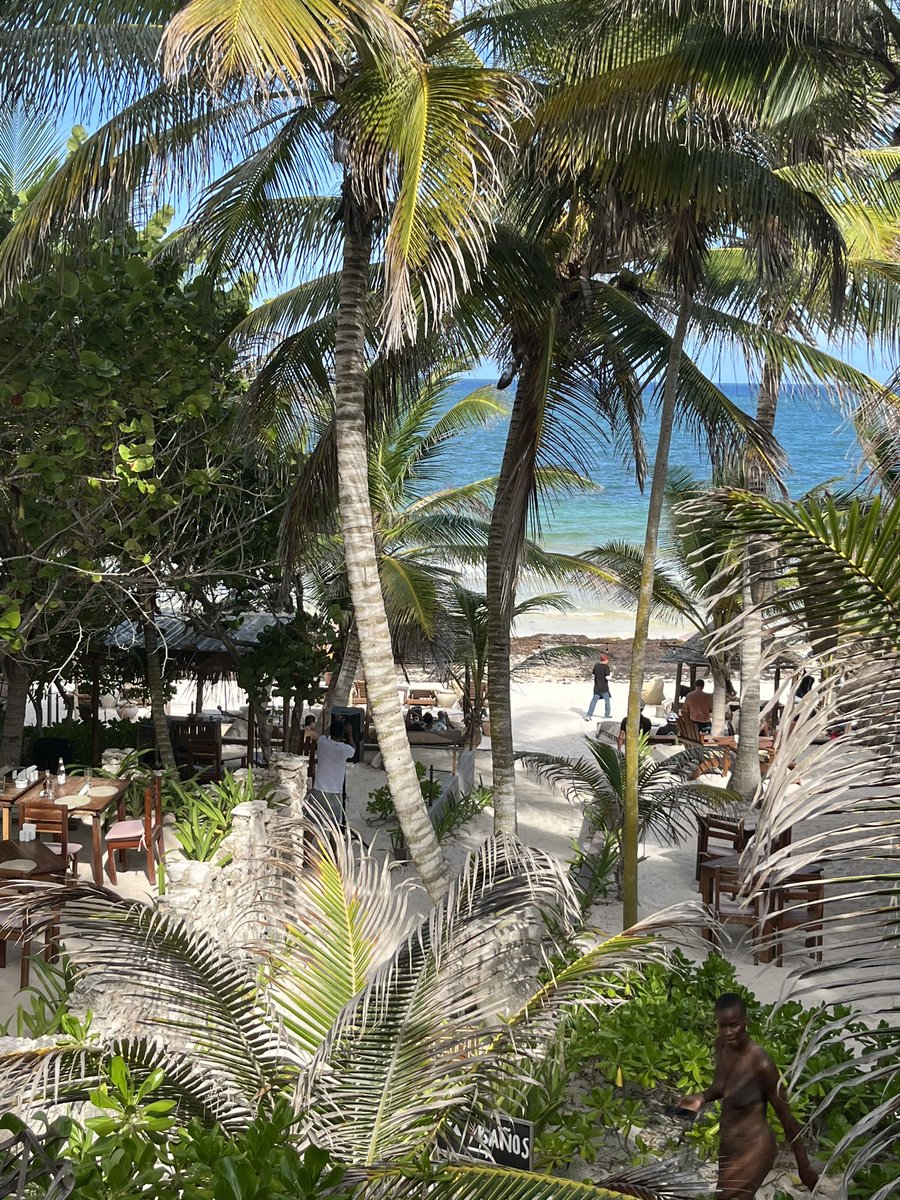 Sam Johnson tweet media