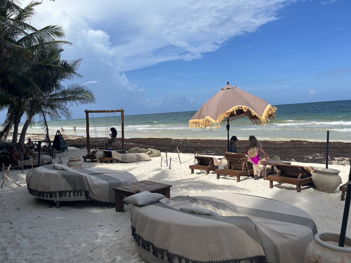 Sam Johnson tweet media