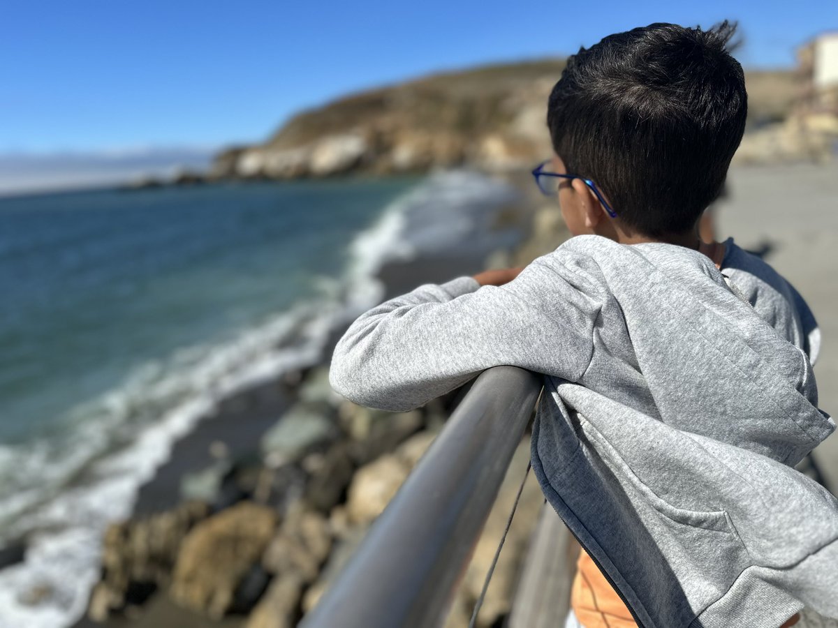 Aditi Loveridge (she/her/hers)🏳️🌈 tweet media