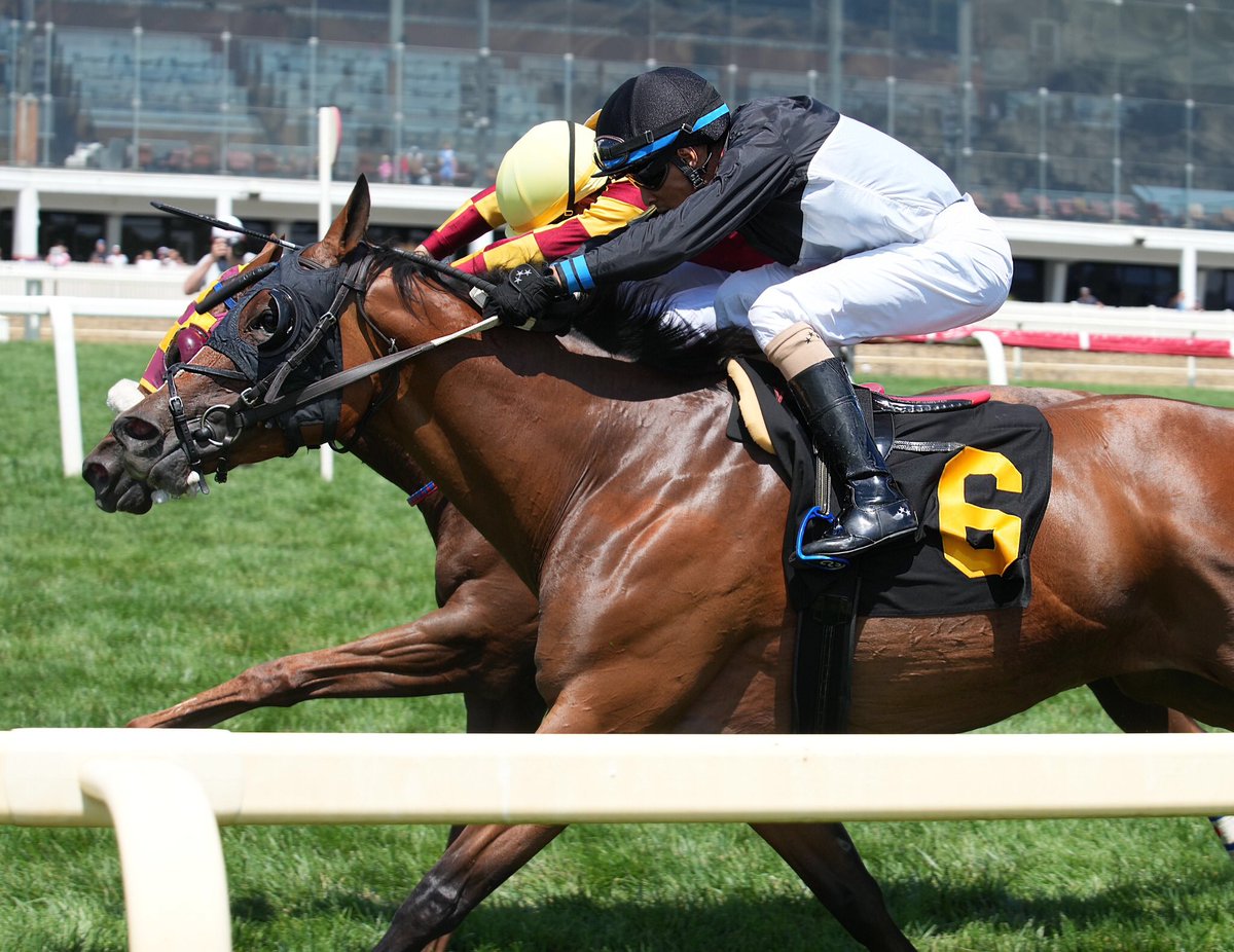 Clouds of White (6) kicks off Sunday card @LaurelPark with narrow score in N2L $40K claimer at 5 1/2F on grass. 4YO @MarylandTB filly by Street Magician ridden by @VCarrasco28 for @trombetta_mike and breeder/owner Larry Johnson. (Jeff Snyder/MJC 📷)
