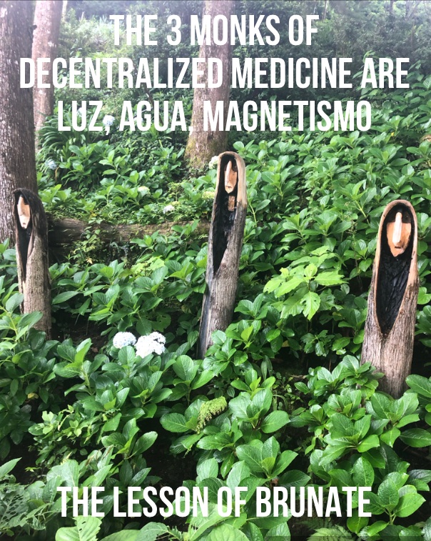 DrJackKruse's tweet image. all controlled by 3 monje  = Monk who sold his Ferrari = LeptinRx.   @Buxo007 @prusconib