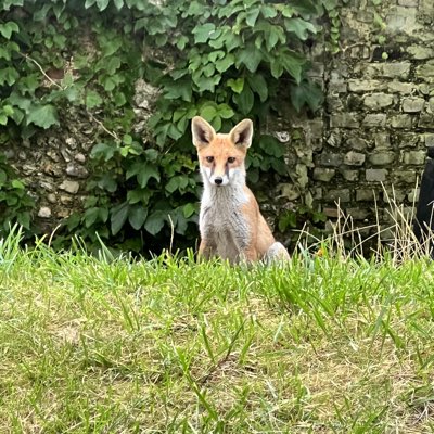 willoenespana's tweet image. #NewProfilePic