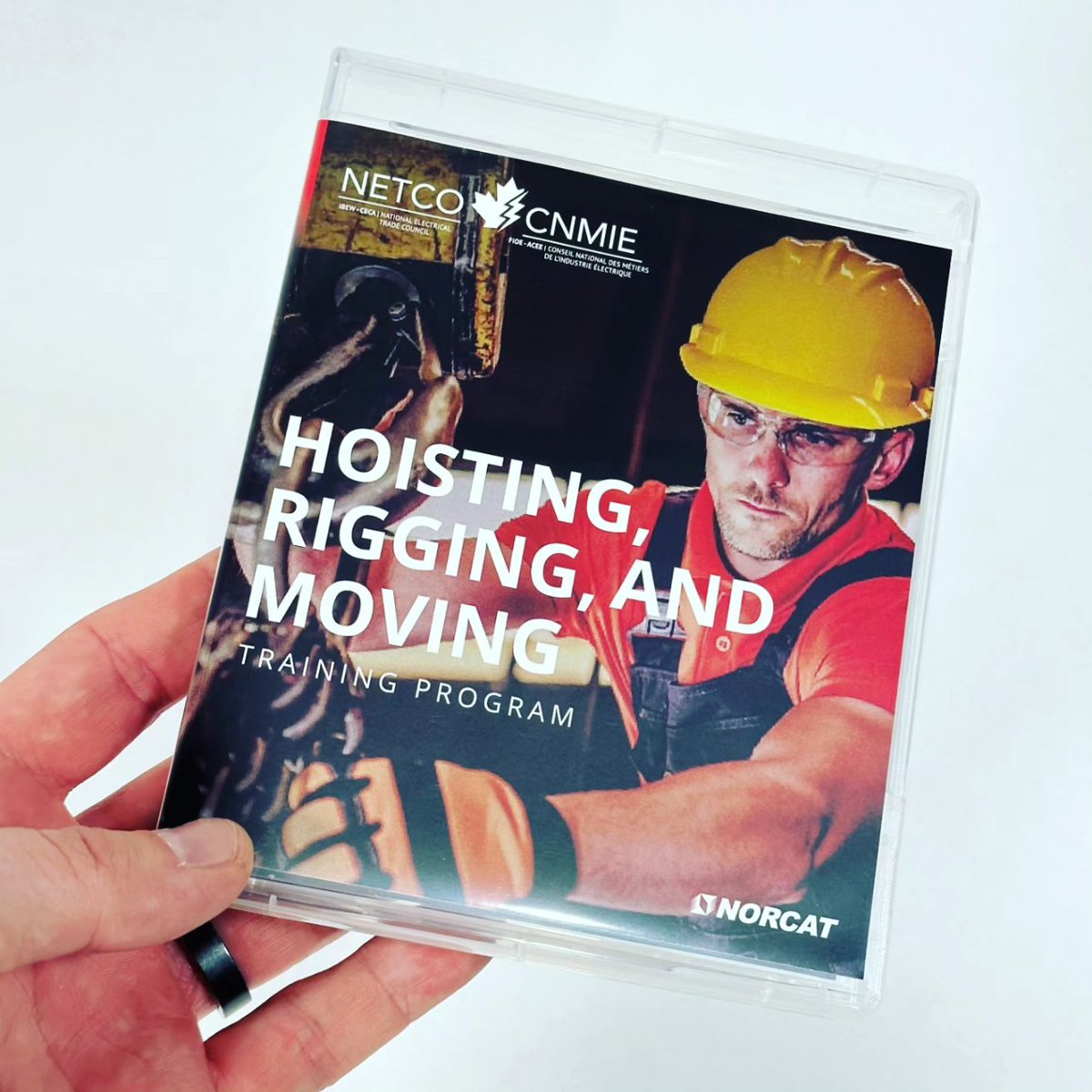 STUDIO NORCAT tweet media