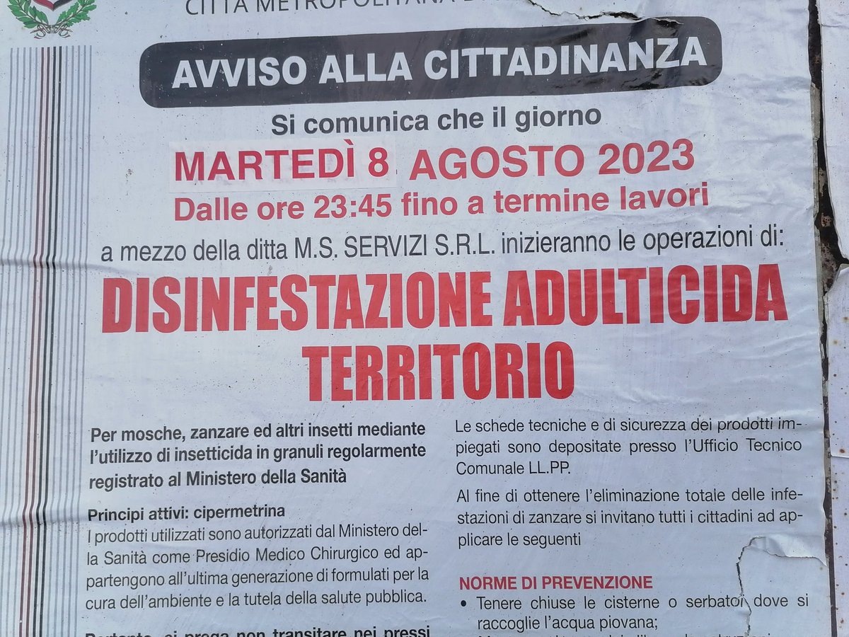 Vogliono uccidere tutti gli adulti 😱😱😱 😂