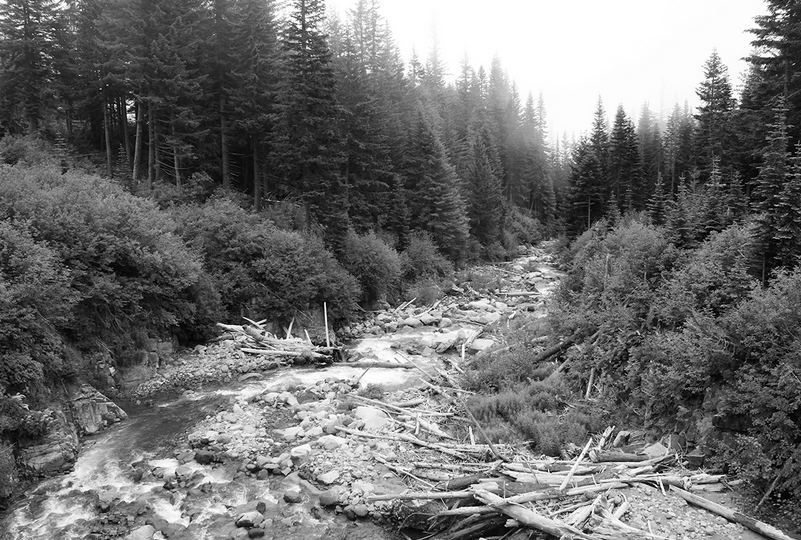 BlackEarthInstitute tweet media