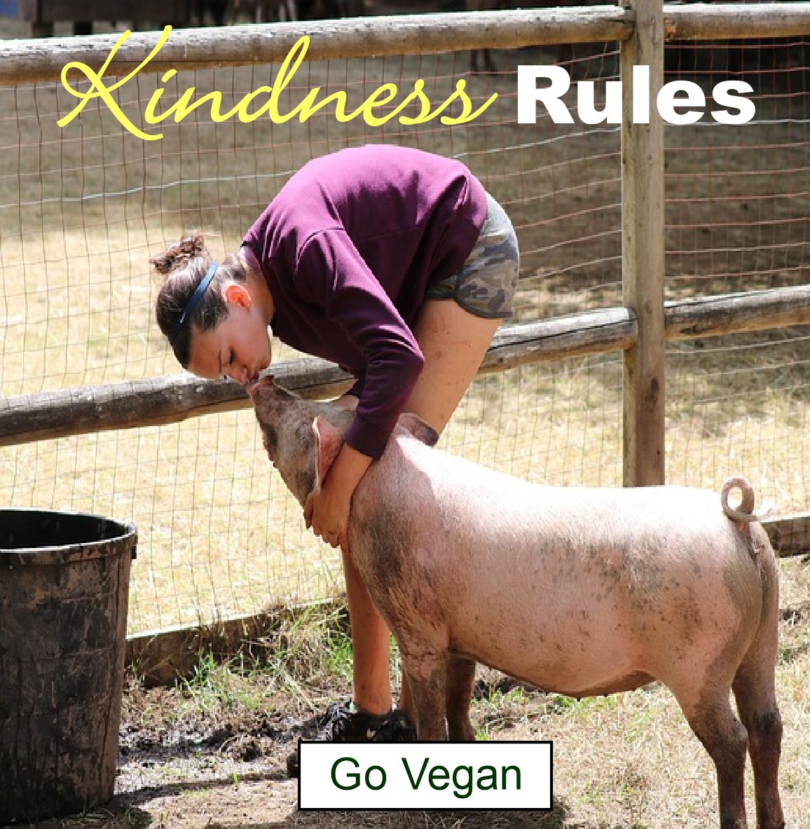 #bekindtoallkinds #govegan #kindness #peaceonearth #photos #compassion #animals #lifeisbeautiful #choosekindness #bethechange