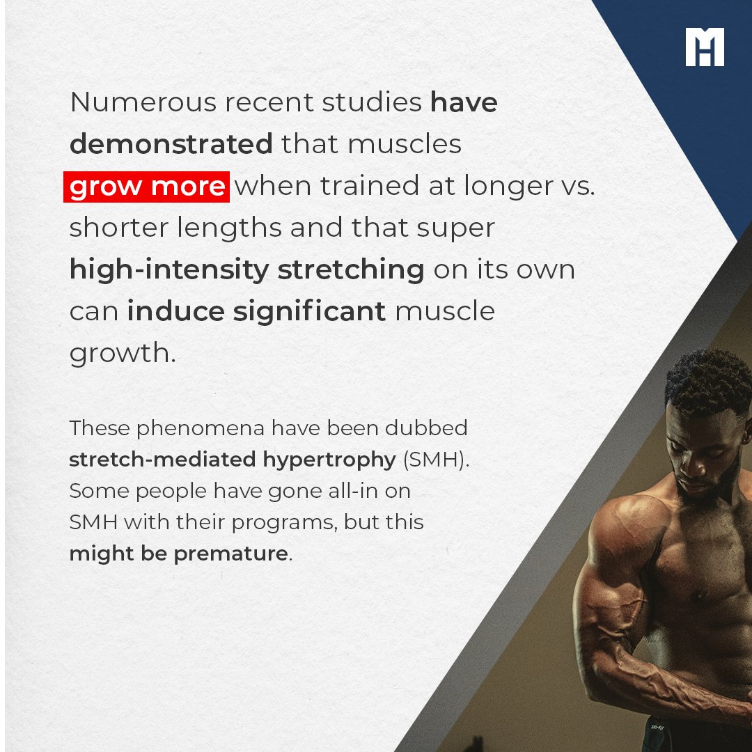 MennoHenselmans's tweet photo. Stretch-mediated hypertrophy only occurs in new lifters? New study
#teamfullROM #smh #stretching #mennohenselmans #personaltrainer #personaltrainers #personaltraining #personaltrainerlife https://t.co/sAWGGWLfDp