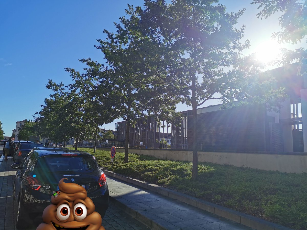 Pourquoi faire une heure gratuite dans les parkings municipaux alors que tout le monde se stationne là où même l'arrêt est interdit

#GCUM #Niort