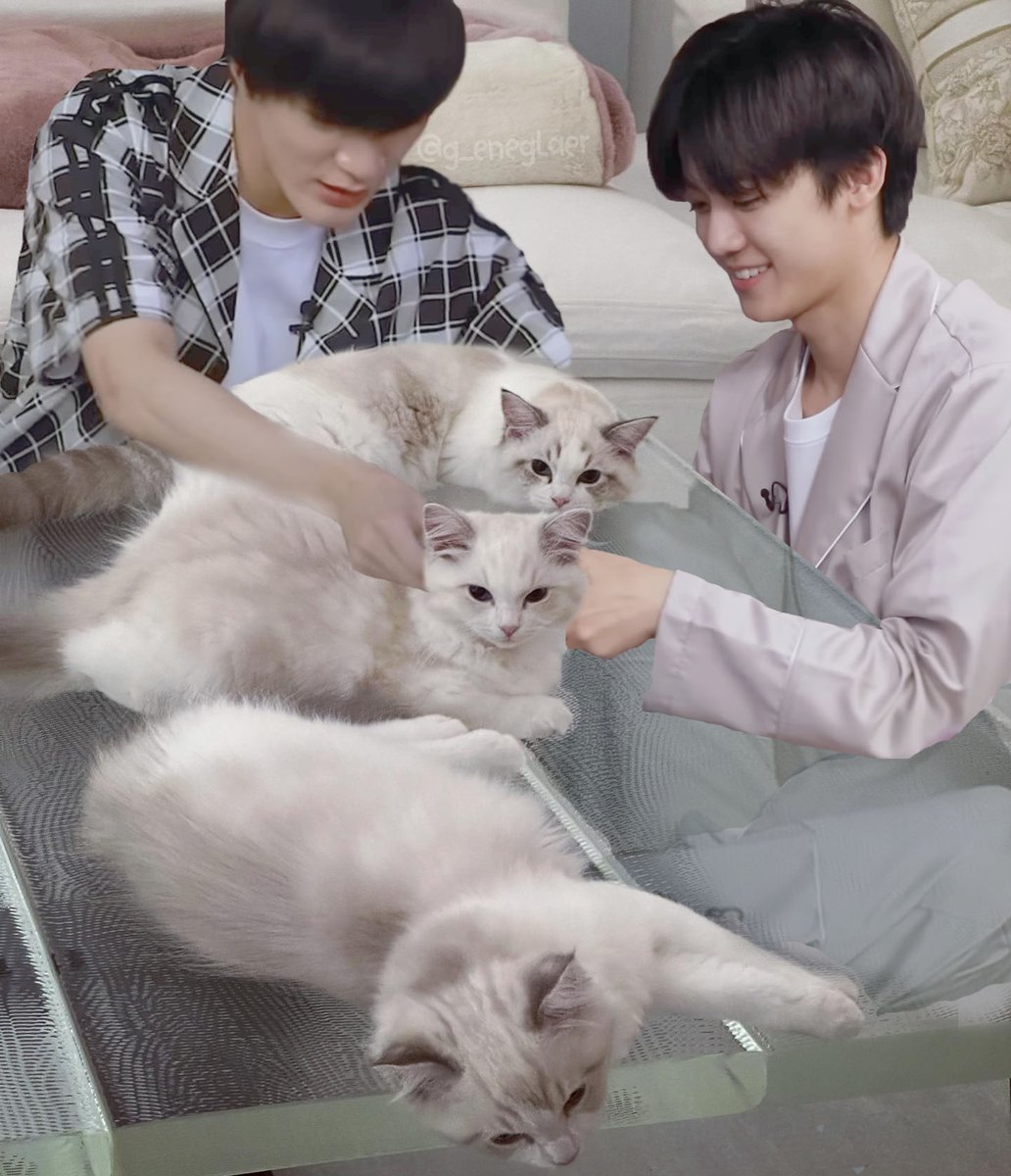 キラリ✨คุนนู๋น้องลูกเน้กโกะจัง🐈👑✨ tweet media