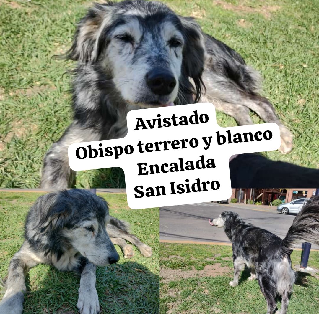 Pedido de difusión
#sanisidro