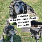Photo by Amores Animales (@amores_animales)