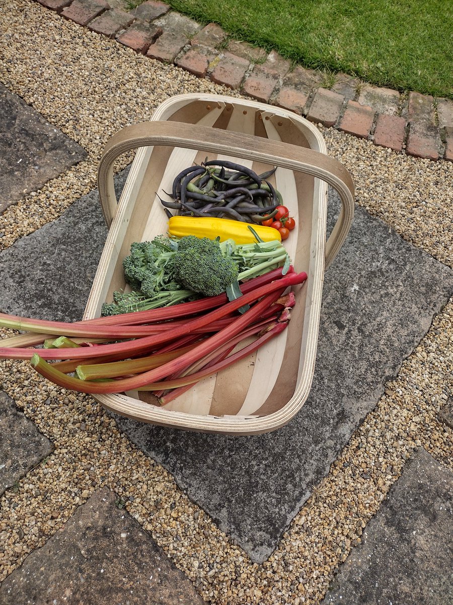 Today I feel like a domestic goddess!
My daughter gave me this fab trug for my birthday, it's first use was bringing produce in from the garden. I know it's not a lot, but my gardening is hit &amp; miss, I celebrate anything that survives.
I probably shouldn't be this excited!! 🤣