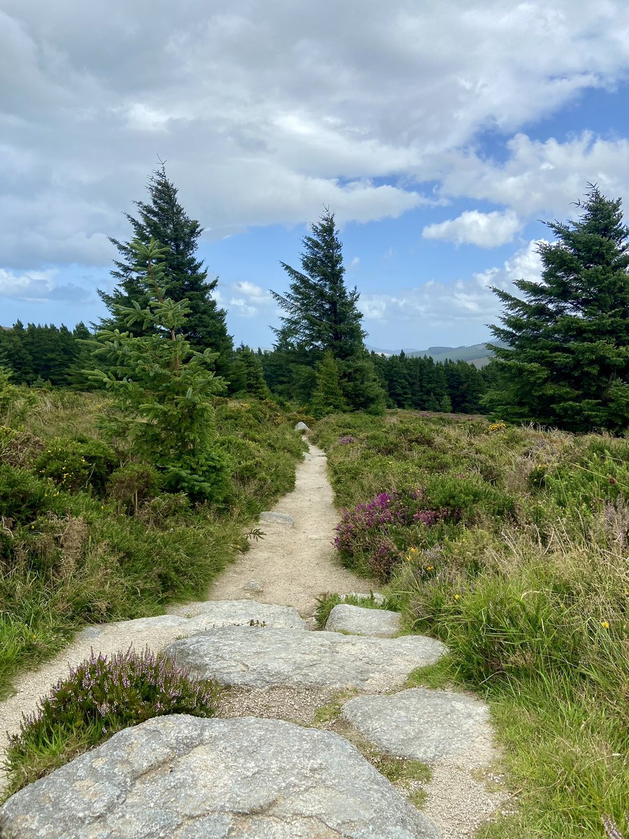 bravo20_roe's tweet photo. @IrishRunningGir @kerrywayultra That’s a serious effort, you will smash it on the day no problem to you. I went down on the knee up in #Tibradden Friday evening, so resting for a few days,when i know I need to get back out fast 🏃🏽‍♂️ https://t.co/ablXL9VOhm