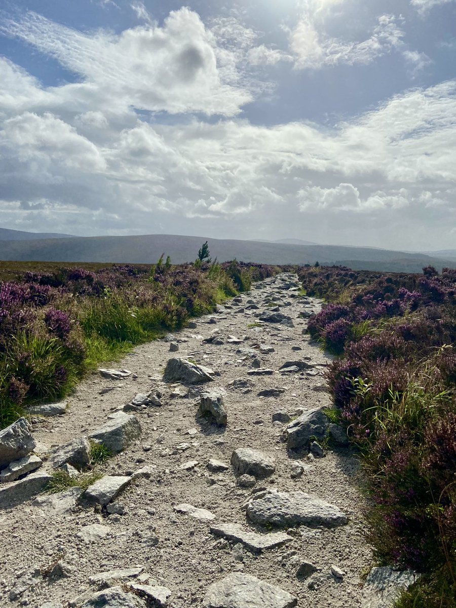 bravo20_roe's tweet photo. @IrishRunningGir @kerrywayultra That’s a serious effort, you will smash it on the day no problem to you. I went down on the knee up in #Tibradden Friday evening, so resting for a few days,when i know I need to get back out fast 🏃🏽‍♂️ https://t.co/ablXL9VOhm
