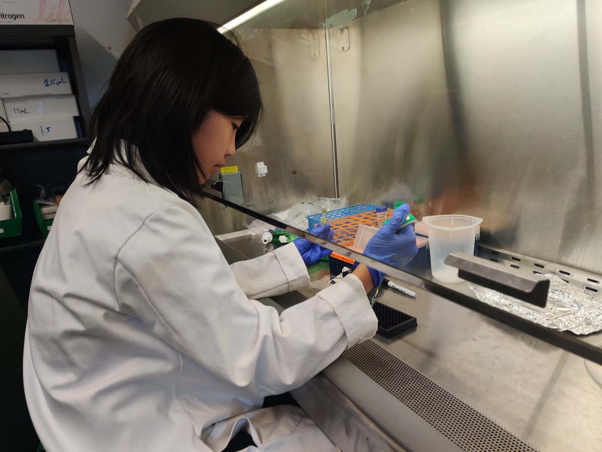 Penn's Stephenson Foundation Bio-MakerSpace (@pennbelabs) on Twitter photo Fun Synthetic Biology with our <a href="/Penn/">Penn</a> <a href="/iGEM/">iGEM Headquarters</a> team!
<a href="/Penn/">Penn</a> <a href="/PennEngineers/">Penn Engineering</a> #PennEngineering #BioMakerSpace #MakerSpace #Bioengineering #BioMedicalEngineering Fun Synthetic Biology with our <a href="/Penn/">Penn</a> <a href="/iGEM/">iGEM Headquarters</a> team!
<a href="/Penn/">Penn</a> <a href="/PennEngineers/">Penn Engineering</a> #PennEngineering #BioMakerSpace #MakerSpace #Bioengineering #BioMedicalEngineering