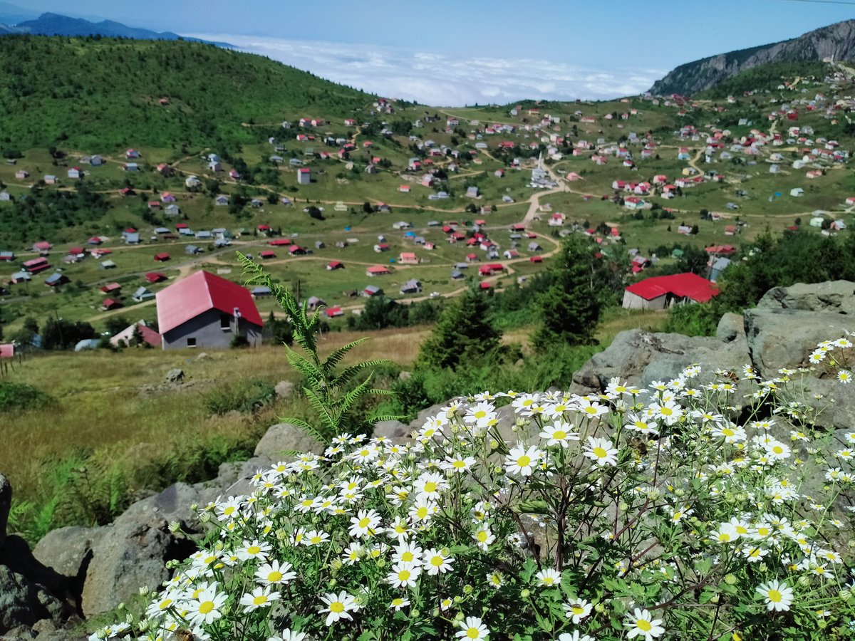 yeter61ismail's tweet photo. #SisDağı https://t.co/J4gSz4z2aL
