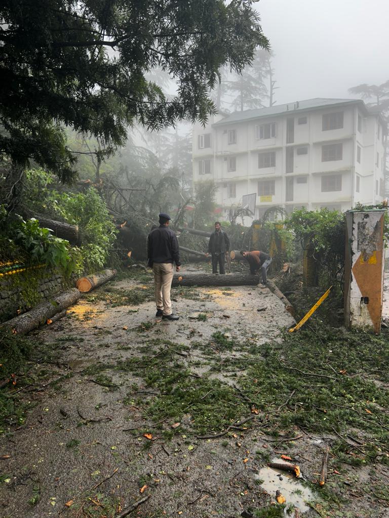 NarvirRathour's tweet photo. #Worsthit’ Himachal experience very heavy #Rainfall,
Some part of Himachal hit by #heavyrain again. 3rd consecutive night of downpour. Stay indoors, #STAYCsecure, and let's hope for relief soon. #monsoon #HimachalPradesh https://t.co/kWyzUliwpQ