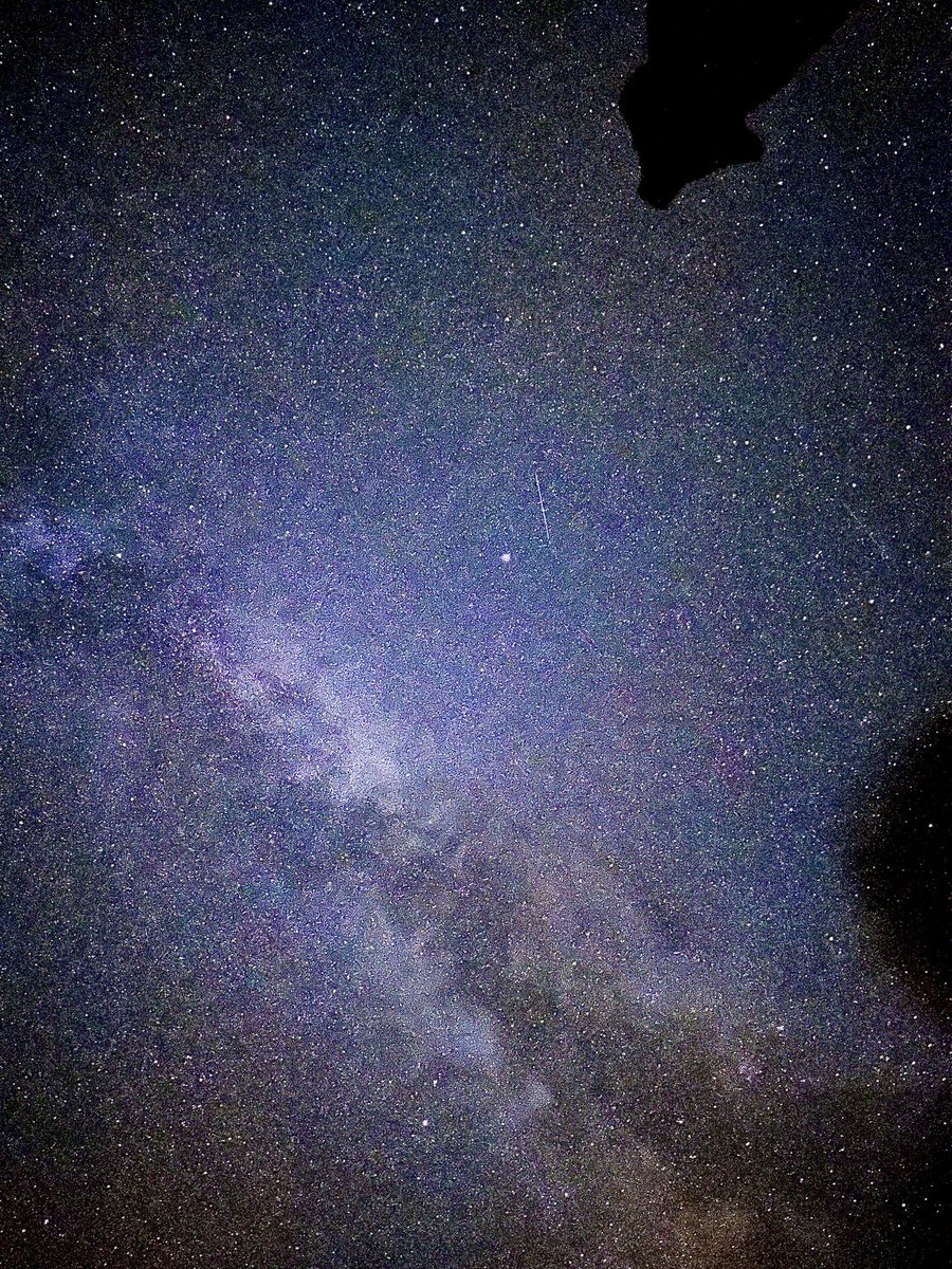 KerriLongLive's tweet photo. A few pics from last night #stars #space #MeteorShower #sky #nighttime https://t.co/AmDBcgYv5N