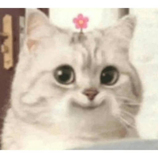 ghoulsluvbug's tweet photo. I need to STOP fighting with random people or responding to people with the intent to argue, this is GOING to be my unconcerned of what people think era https://t.co/84Smu2wsDJ
