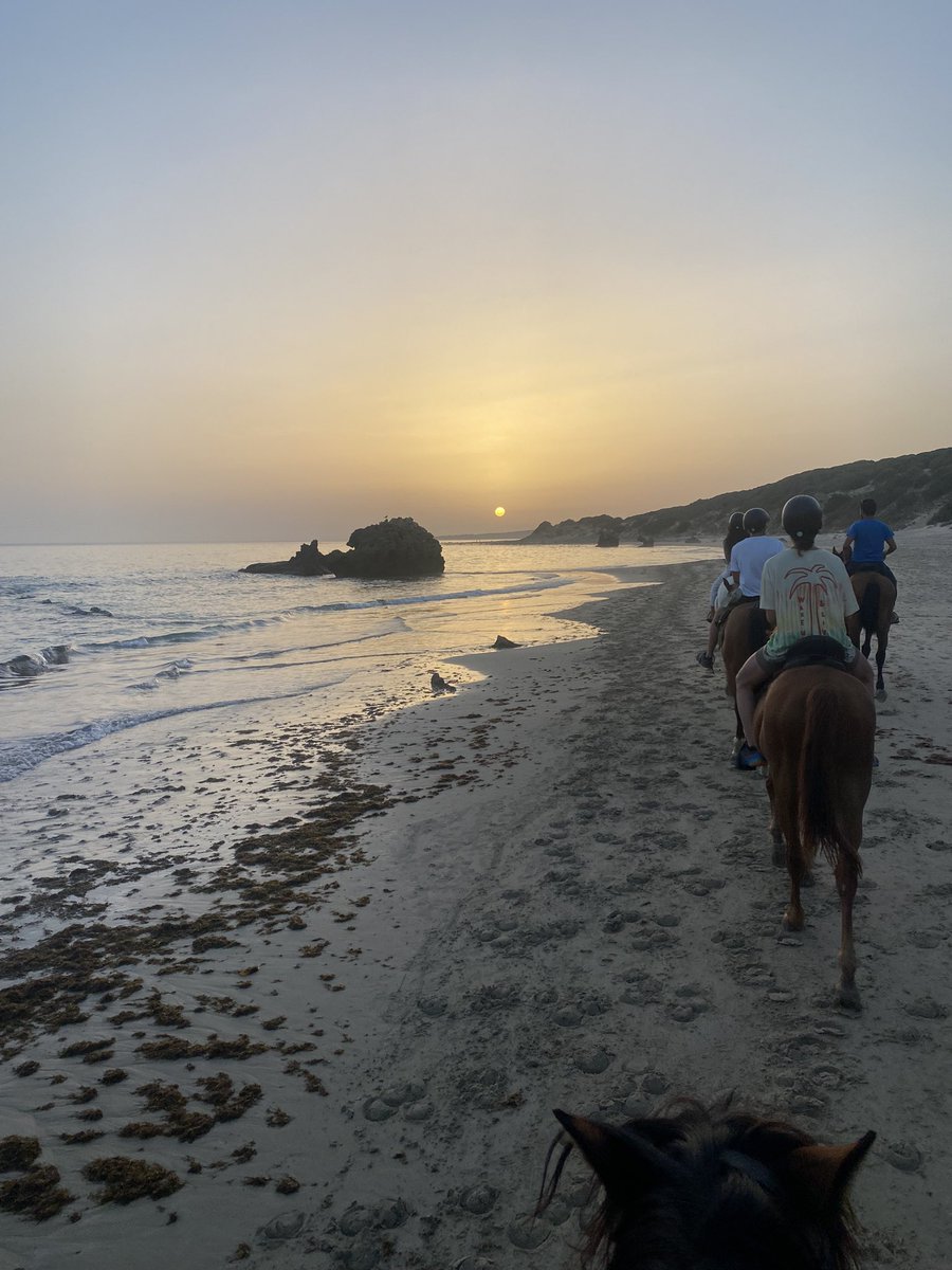 Paulafergom2's tweet photo. Los días que me dan vida ❤️‍🩹 
Atardecer en Bolonia 🌞🌊 https://t.co/2F3vELWMyx