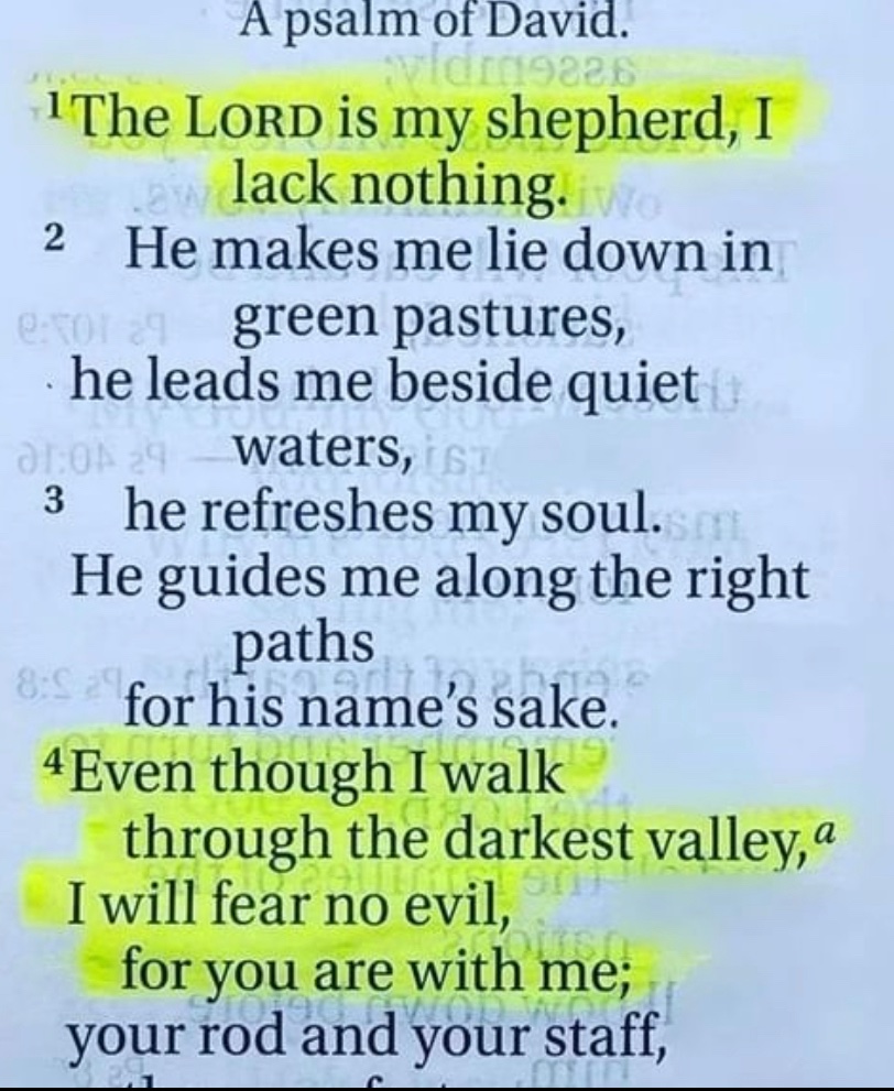 🗣🙏🏽📖 Psalm 23