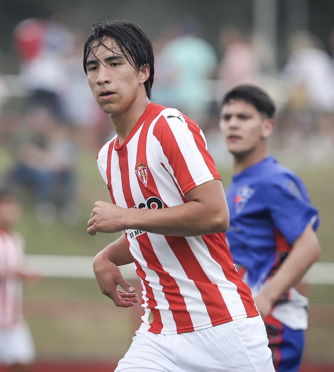 Sector Básicas tweet media