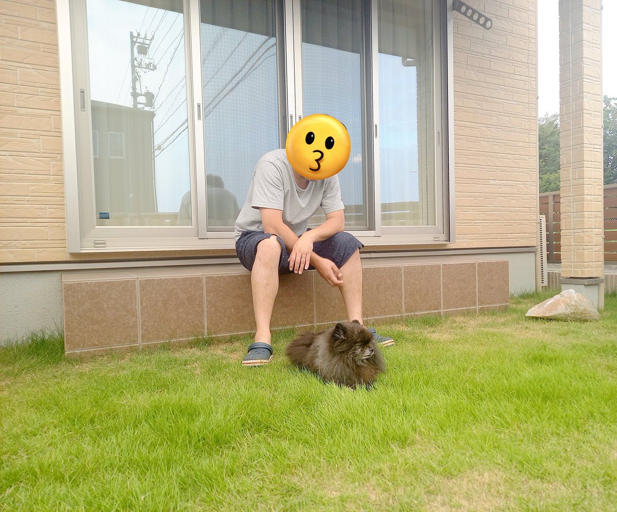 dodo_donchan12's tweet photo. 犬のために庭を作った人と全然走り回らない犬 https://t.co/gYTnPRa6CY