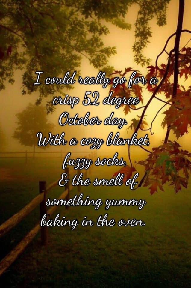 MrsDiva777's tweet photo. Iβm screaming π£οΈπ£οΈ #falliscoming πππIβm soooo ready for my favorite season π₯°..
#fall2023
#fallvibes
#fallismyfavorite
#fallisintheair
#fallisnear
#falliscoming
#fallismyfavoriteseason
EliteLadiesπππΎ https://t.co/dZUNgMY5XU