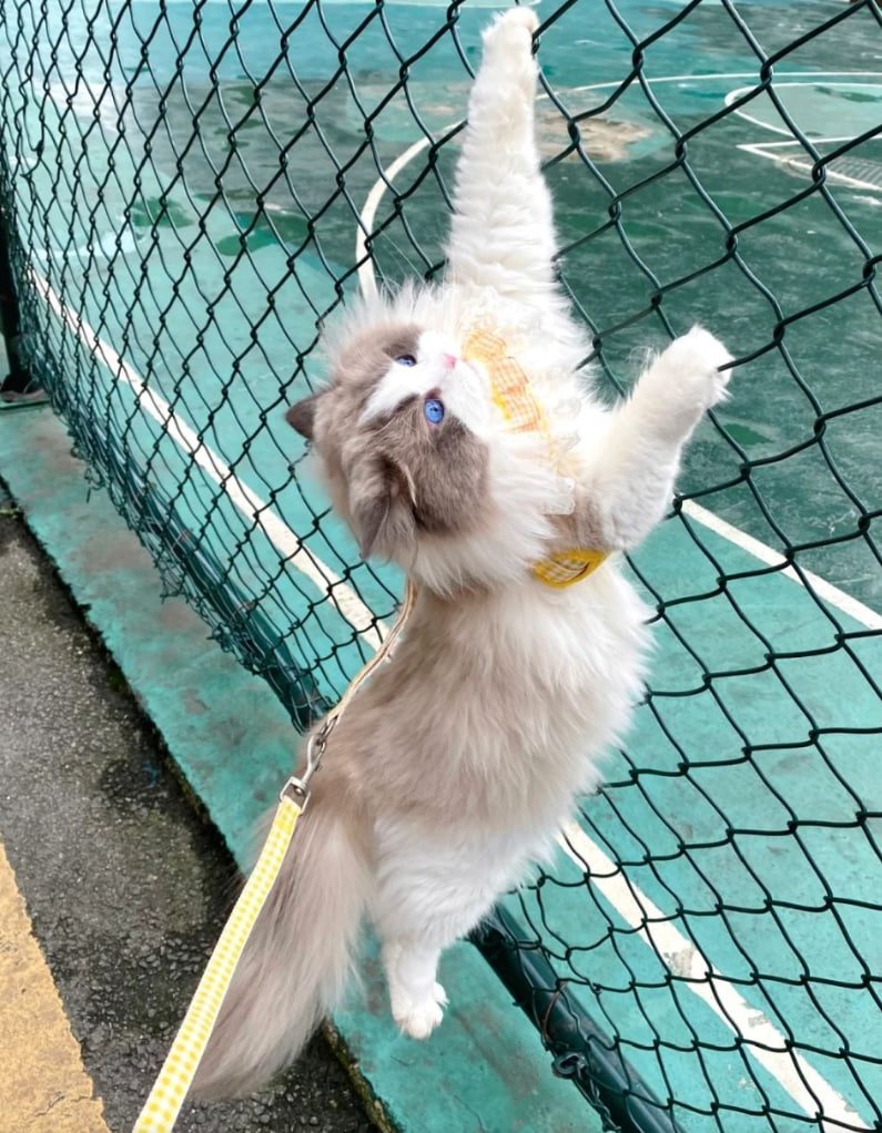 To be successful, one has to wait for a long time without being anxious, to be calm but sharp, to be unafraid of setbacks and full of hope