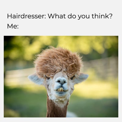 #sundayvibes #SundayFunday #SundayShare #meme #funny