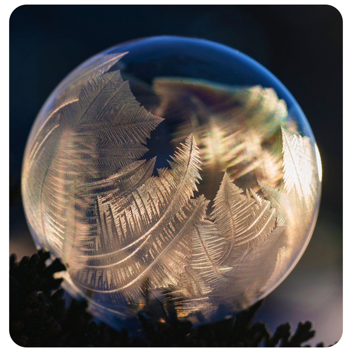 Good morning, #5amwritersclub 💜

Let's do a #writerslift to showcase our #books, #shorts, #poetry, #blogs, #websites, etc.

#WritingCommunity, show us what you got going on.
#ReadingCommunity, browse for your next fave read.

And remember to spread some love today!
💜