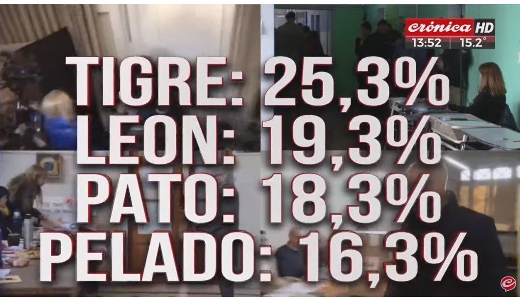 cronopiatw's tweet photo. Me destruye que Crónica suba esto y todos sabemos quien es quien https://t.co/rPZOuF5Pru