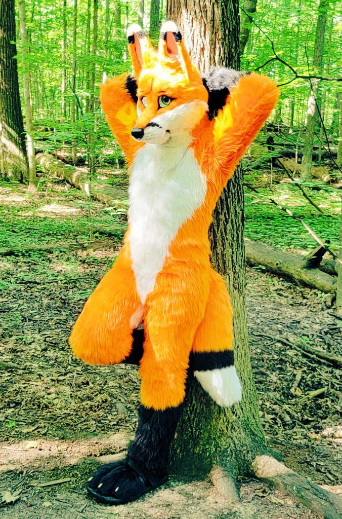 DoonTheFox's tweet photo. Hey there, saw you scrolling into my neck of the woods. Just wanted to say you're a cutie and I hope we cross paths again sometime 😊 Don't forget to drink water too. Enjoy your scrolling! 🧡 #SSCSunday #JustFoxThings https://t.co/H0l2bqtypU