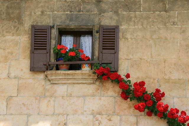 "Beni yaratan elbet yolumu gösterir. "

Şuâra Sûresi / 78. Ayet