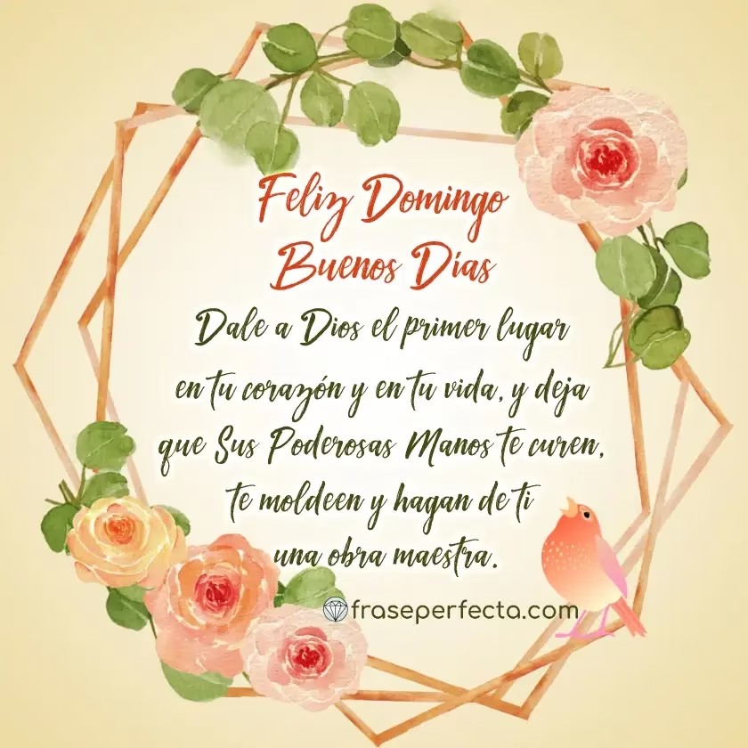 Louis Angelica Scandela tweet media