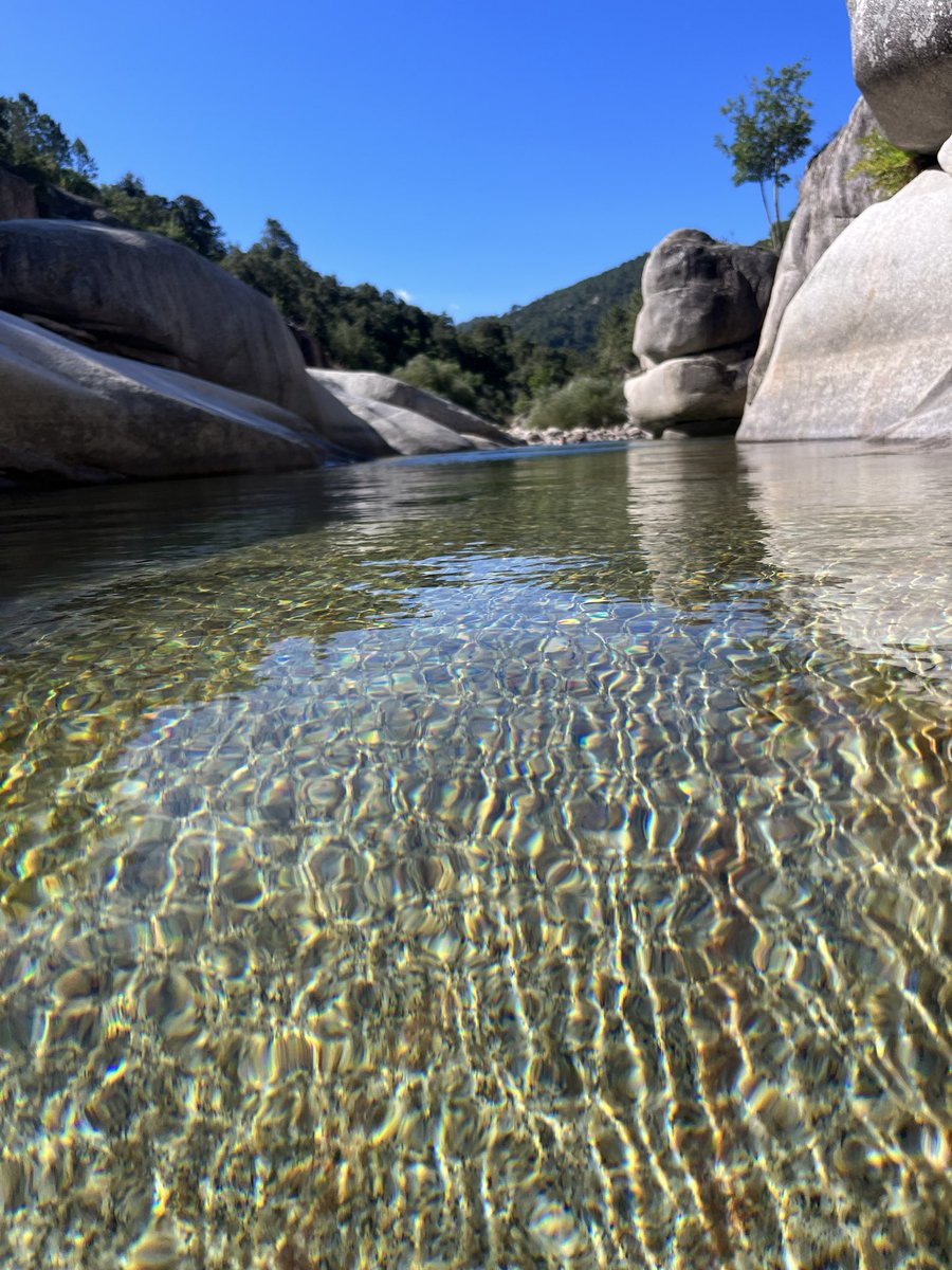 phildelo26's tweet photo. Couleurs et reflets du matin
🤩
📍vallée du Cavu
#trailrunning #trail #trailaddict
#running #run #runlifestyle
#montagneaddict #montagne
#moutain #moutainaddict
#outdoor #outdoorlovers
#valleeducavu #cavu #vasque
#corse #igerscorsica #corsica
#iledebeaute #corsedusud https://t.co/gApmos7fRo