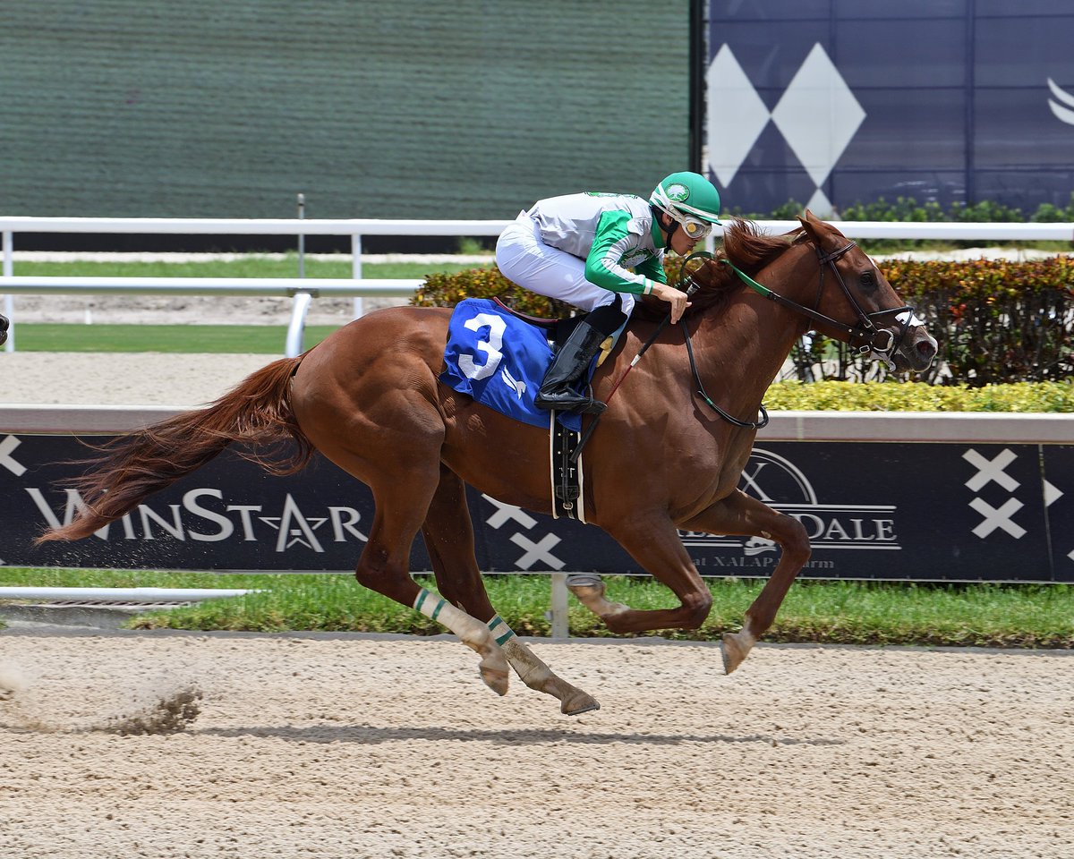 Gulfstream Park tweet media