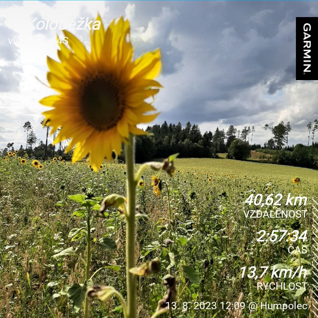 VraMarkov3's tweet photo. ... původně bylo v plánu nedělní lenošení 😉ale nakonec co doma, když venku je tááák krásně 🌻🛴🤣☀️ ...
#kostkakolobezka
#lipnice https://t.co/nQzN8AYEJS