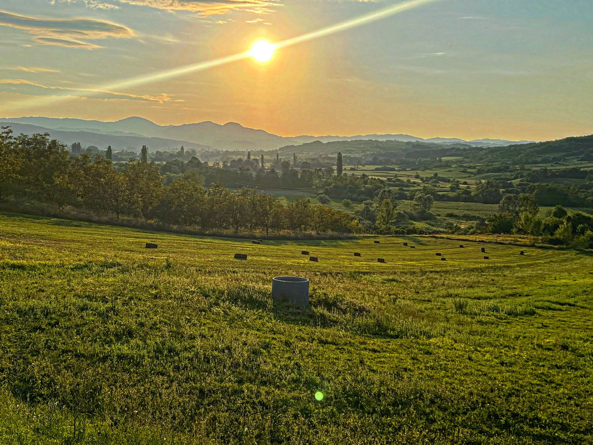 DuleneTurizam's tweet photo. Nema ništa, naša srpska Toskana, Levač. Pozdrav iz Belušića, pogled na Gledićke planine 🌳🌳🌳🌳⛰️🫶 https://t.co/YsJA8sYUHg
