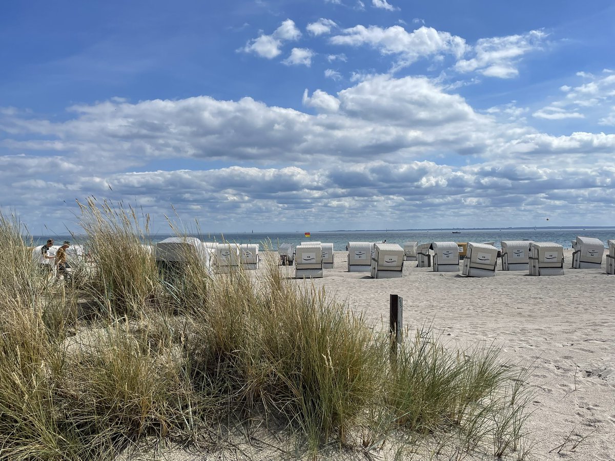 KemClaud's tweet photo. Das Leben kann so einfach und schön sein …. Sonne ☀️ auf der Haut, Sand unter der Füßen, im Strandkorb ein 📖 lesen, durchatmen und die Seele baumeln lassen. 🙏💛 Ich liebe das. 🫶 #ostsee #groemitz #strand #sommer https://t.co/dQeFDU7AcB