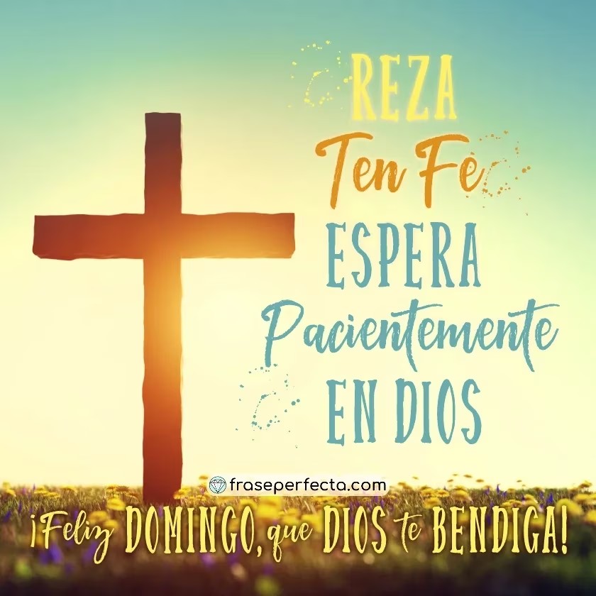 Louis Angelica Scandela tweet media