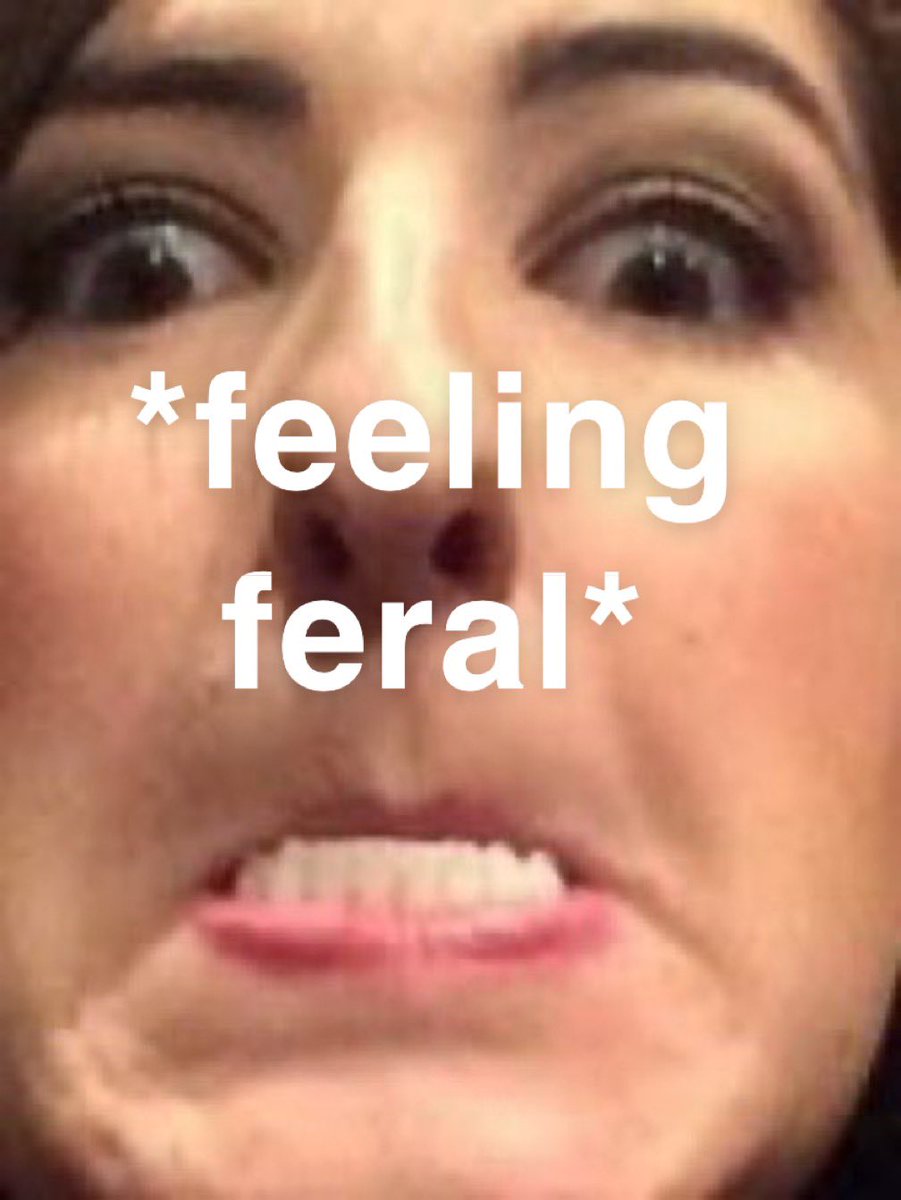 This. is. THE HOLIDAY