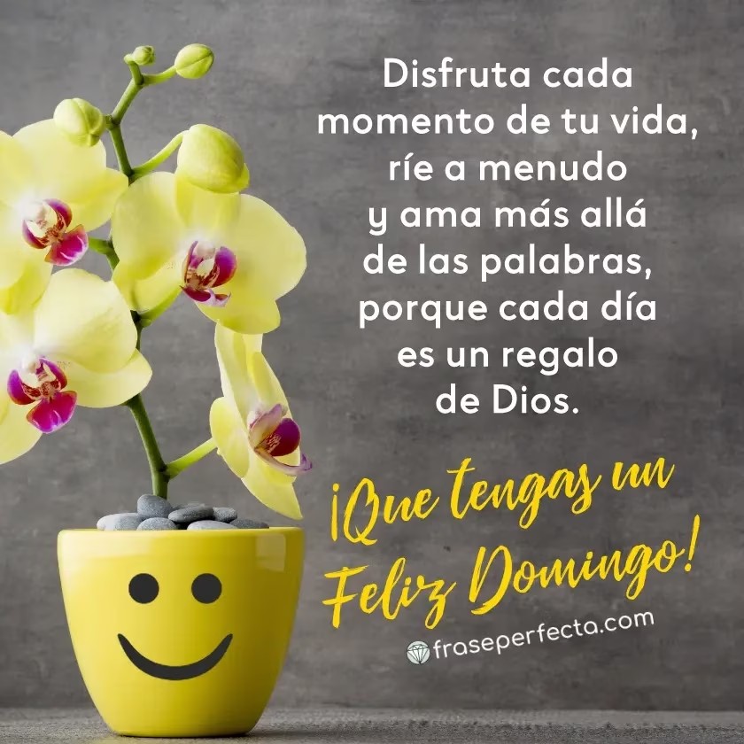 Louis Angelica Scandela tweet media